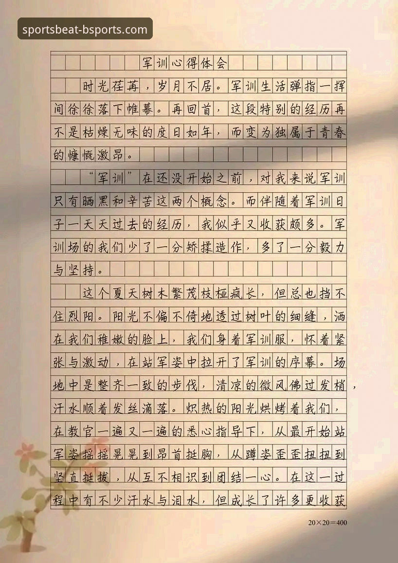 行业观察者亲述：B体育平台使用心得与2024年趋势解析